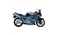 Lojas Carenagem Kawasaki ZZR600 1998-2003