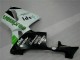 Abs Kit Completos Carenagem CBR 600RR 2005-2006 - Verde