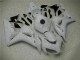 Abs Kits Completos Carenagem CBR 1000RR 2004-2005 - Branco