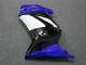 Abs Plástico EX250 2008-2012 - Azul Branco Preto Ninja