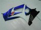 Abs Plásticos GSXR 1000 K7 2007-2008 - Azul Abs Plásticos GSXR 1000 K7 2007-2008 - Azul