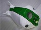 Carenagem CBR 1000RR 2004-2005 - Verde Branco