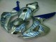 Carenagem CBR 1000RR 2006-2007 - Azul Chama Prata