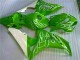 Carenagem CBR 1000RR 2006-2007 - Verde Carenagem CBR 1000RR 2006-2007 - Verde