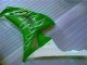 Carenagem CBR 1000RR 2006-2007 - Verde Carenagem CBR 1000RR 2006-2007 - Verde