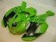 Carenagem ZX6R 2007-2008 - Verde Preto Dunlop