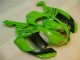Carenagem ZX6R 2007-2008 - Verde Preto Dunlop