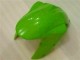 Carenagem ZX6R 2007-2008 - Verde Preto Dunlop