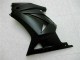 Carroçaria EX250 2008-2012 - Preto Fosco