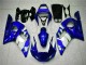 Carroçaria R6 1998-2002 - Azul