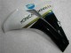 Kit Carenagem CBR 1000RR 2008-2011 - Branco Kit Carenagem CBR 1000RR 2008-2011 - Branco