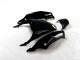 Kit Completo Carenagem EX250 2008-2012 - Preto Verde
