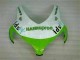 Kits Completo Carenagem CBR 1000RR 2008-2011 - Verde Branco