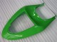 Kits Completo Carenagem ZX6R 2005-2006 - Verde