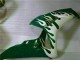 Lojas Carenagens Moto Honda CBR1000RR 2006-2007 - Branco Verde Chama