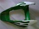 Lojas Carenagens Moto Honda CBR1000RR 2006-2007 - Branco Verde Chama
