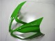 Lojas Carenagens Moto Kawasaki ZX6R 2013-2018 - Verde Branco Preto Brilhante