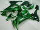 Lojas Carenagens Moto Kawasaki ZX10R 2008-2010 - Preto Brilhante Verde Chama