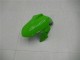 Lojas Carenagens Moto Kawasaki Ninja 300 EX300R 2013-2024 - Branco Verde Preto