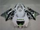 Lojas Carenagens Moto Honda CBR600 F3 1995-1996 - Branco Prata Verde Hannspree