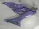 Lojas Carenagens Moto Kawasaki ZX6R 2019-2022 - Camaleão Cinzento Dazz Roxo Pérola