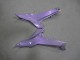 Lojas Carenagens Moto Kawasaki Ninja 650 EX650 2020-2025 - Camaleão Cinzento Dazz Roxo Pérola
