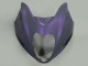 Lojas Carenagens Moto Suzuki GSXR 1300 Hayabusa 1996-2007 - Camaleão Cinzento Dazz Roxo Pérola