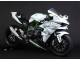 Lojas Carenagens Moto Kawasaki Ninja H2 2015-2022 - Branco Prata Verde
