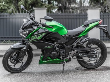 Lojas Kits Carenagem Moto Kawasaki Z250/Z300 2015-2016 - Verde Preto Fosco