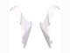 Lojas Carenagens Moto Kawasaki Z400 2018-2024 - Branco Preto Brilhante Verde