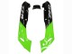 Lojas Carenagens Moto Kawasaki ZZR600 1998-2003 - Verde Preto Brilhante Chama