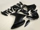Lojas Carenagens Moto Yamaha FZ6R 2009-2015 - Preto Fosco