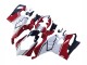 Lojas Carenagens Moto Ducati Panigale V4 V4S 2020-2021 - Branco Vermelho Verde Preto Fosco