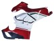 Lojas Carenagens Moto Ducati Panigale V4 V4S 2020-2021 - Branco Vermelho Verde Preto Fosco