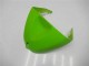 Lojas Carenagens Moto Kawasaki ZX6R 2005-2006 - Verde Preto Brilhante Elf