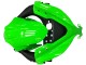 Lojas Carenagens Moto Kawasaki EX300 2013-2024 - Verde Prata Preto