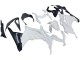 Lojas Carenagens Moto Kawasaki EX300 2013-2024 - Branco Preto