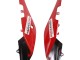 Lojas Carenagens Moto Aprilia RS4 50 125 2012-2018 - Branco Vermelho Verde Preto Brilhante