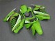 Lojas Carenagem Moto Kawasaki EX250 2008-2012 - Verde Branco Preto