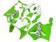 Lojas Carenagens Moto Kawasaki ZX7R 1996-2003 - Branco Verde