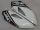 Lojas Carenagens Moto Honda CBR1000RR 2004-2005 - Branco Azul Vermelho Preto Brilhante Estrela Carrera Lee