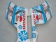 Lojas Carenagens Moto Honda CBR1000RR 2004-2005 - Branco Azul Neve Nastro Azzurro 46