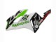 Lojas Carenagens Moto Honda CBR1000RR 2004-2005 - Branco Verde Preto Brilhante Hannspree 52