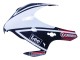 Lojas Carenagens Moto Honda CBR1000RR 2008-2011 - Branco Vermelho Azul Preto Star Lee Carrera