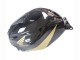 Lojas Carenagem Moto Honda CBR600RR 2005-2006 - Preto Ouro