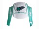 Lojas Carenagens Moto Honda CBR600RR 2005-2006 - Verde Claro Branco Preto Brilhante Joe Rocket