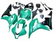 Lojas Carenagem Moto Honda CBR600RR 2007-2008 - Verde Preto Brilhante