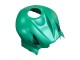 Lojas Carenagem Moto Honda CBR600RR 2007-2008 - Verde Preto Brilhante