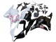 Lojas Carenagens Moto Honda CBR600RR 2009-2012 - Branco Cherry Blossom Preto Brilhante