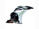 Lojas Carenagens Moto Honda CBR600RR 2009-2012 - Branco Verde Preto Brilhante Hannspree